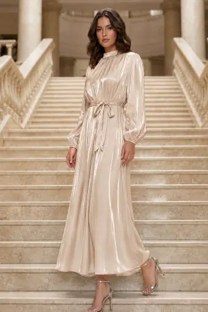 Balloon Sleeve Dress