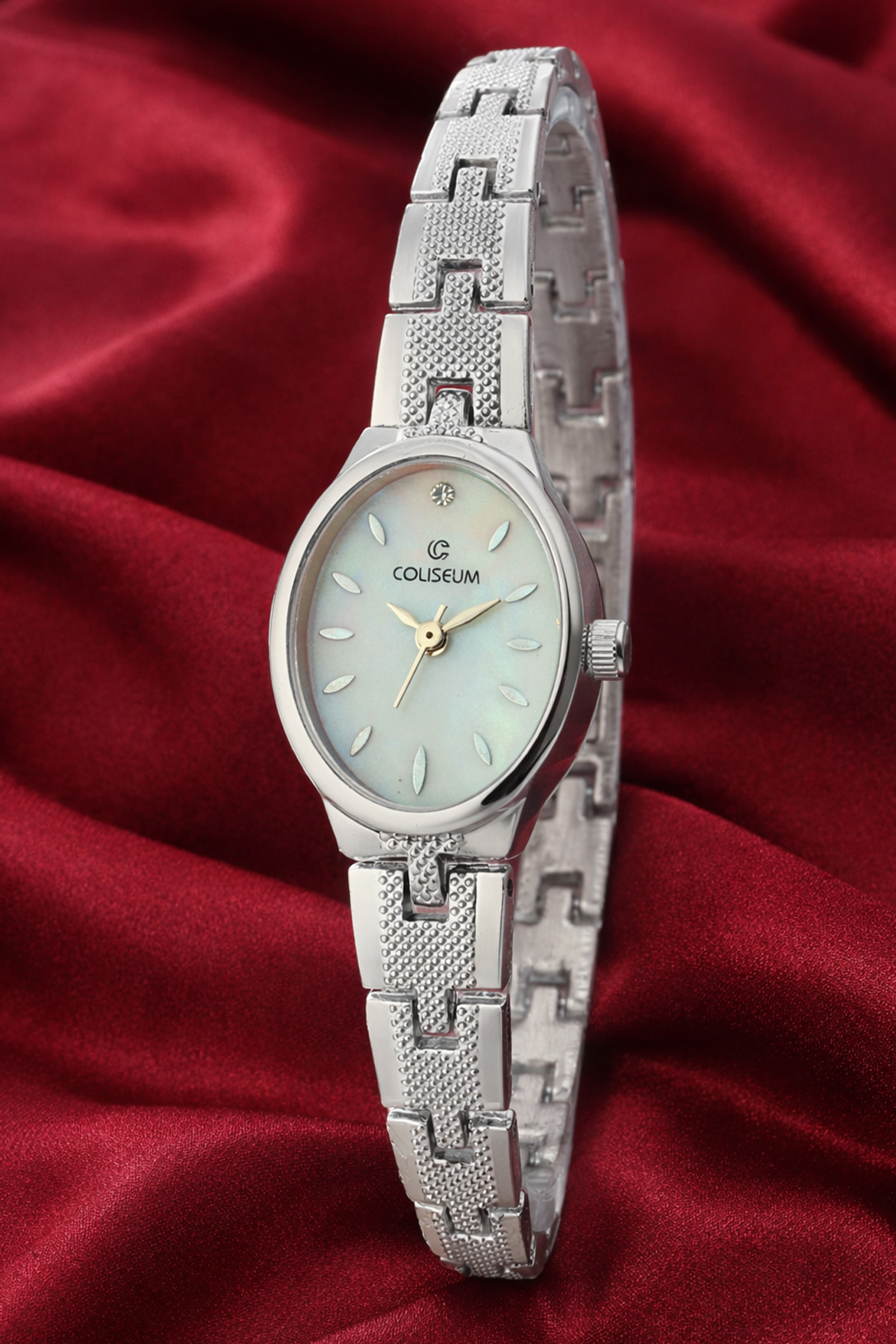 Women's Silver Watch